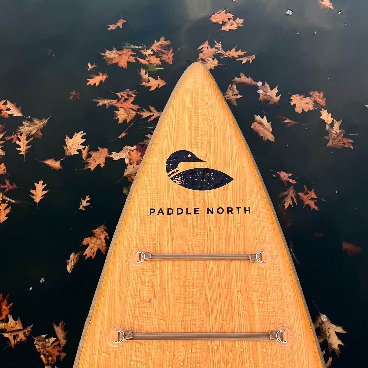 Best Places to Paddle Board in Minnesota