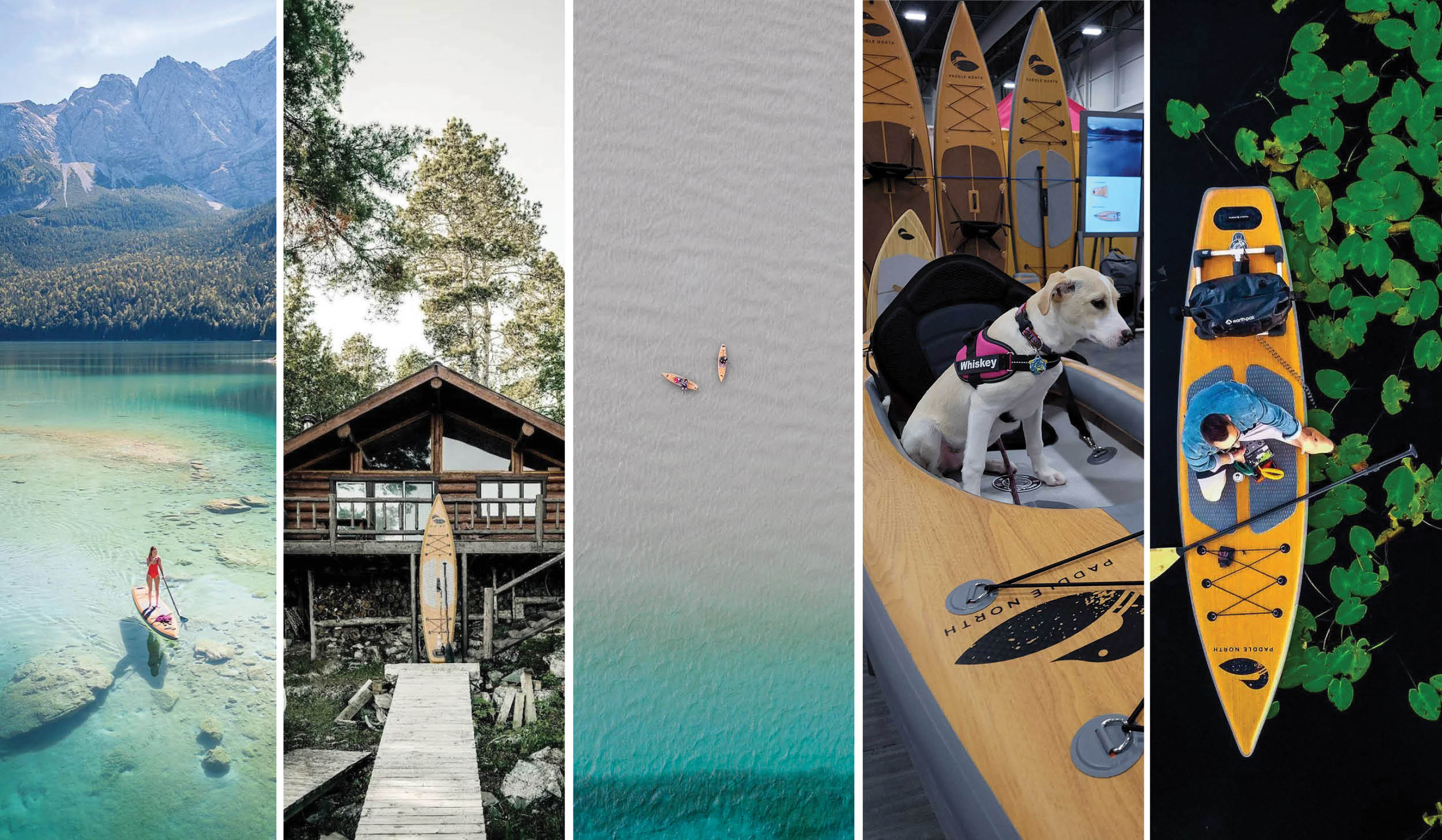 2022 Wrapped: What a Year!