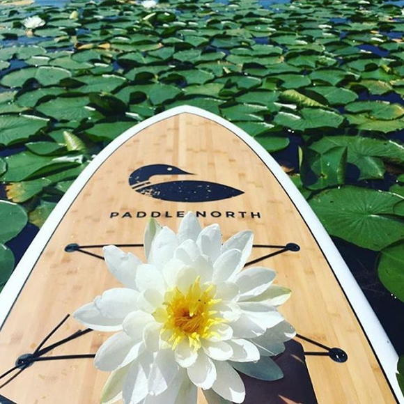 Farmer's Market Picks & Where to Find Them