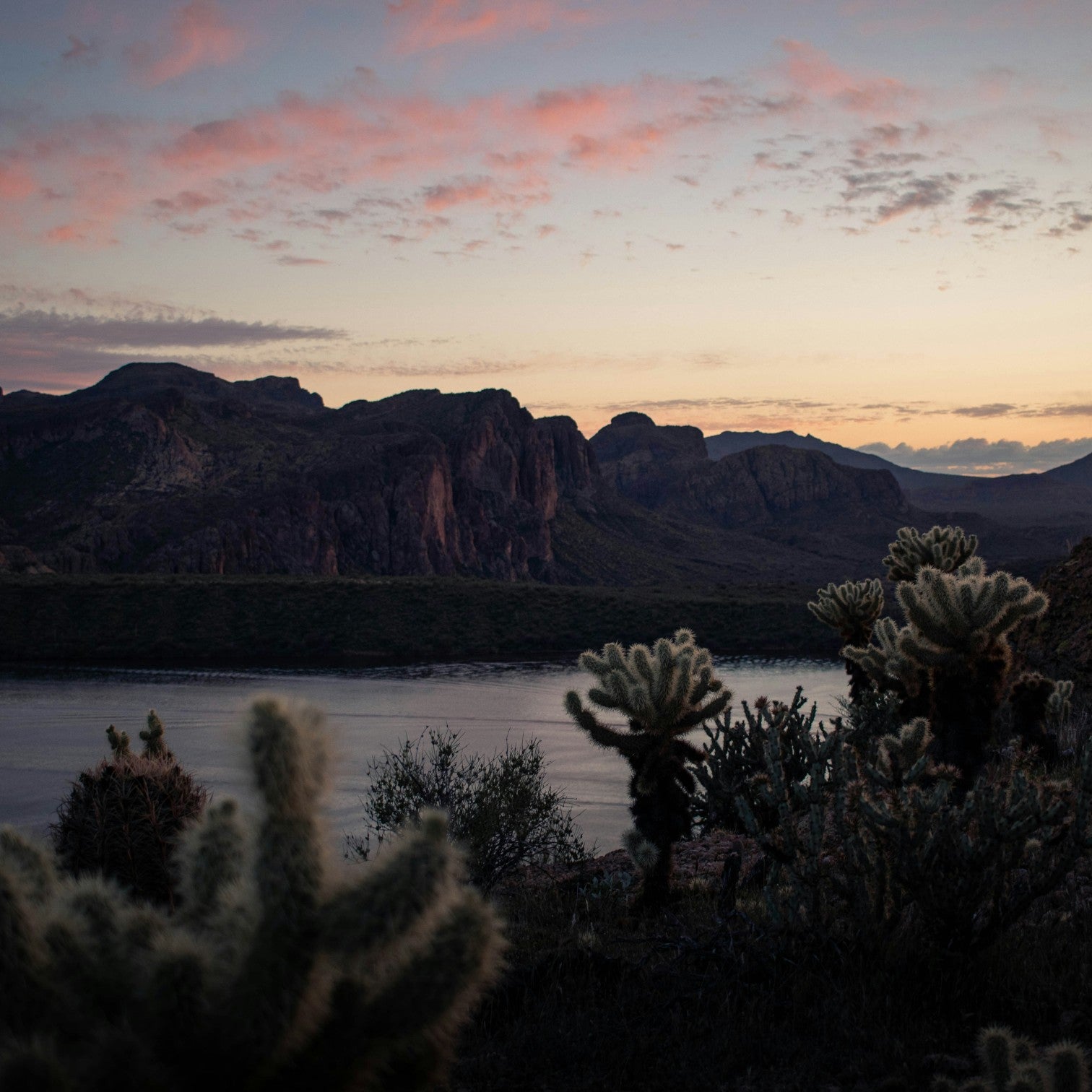 Best Places to Paddle Board in Phoenix