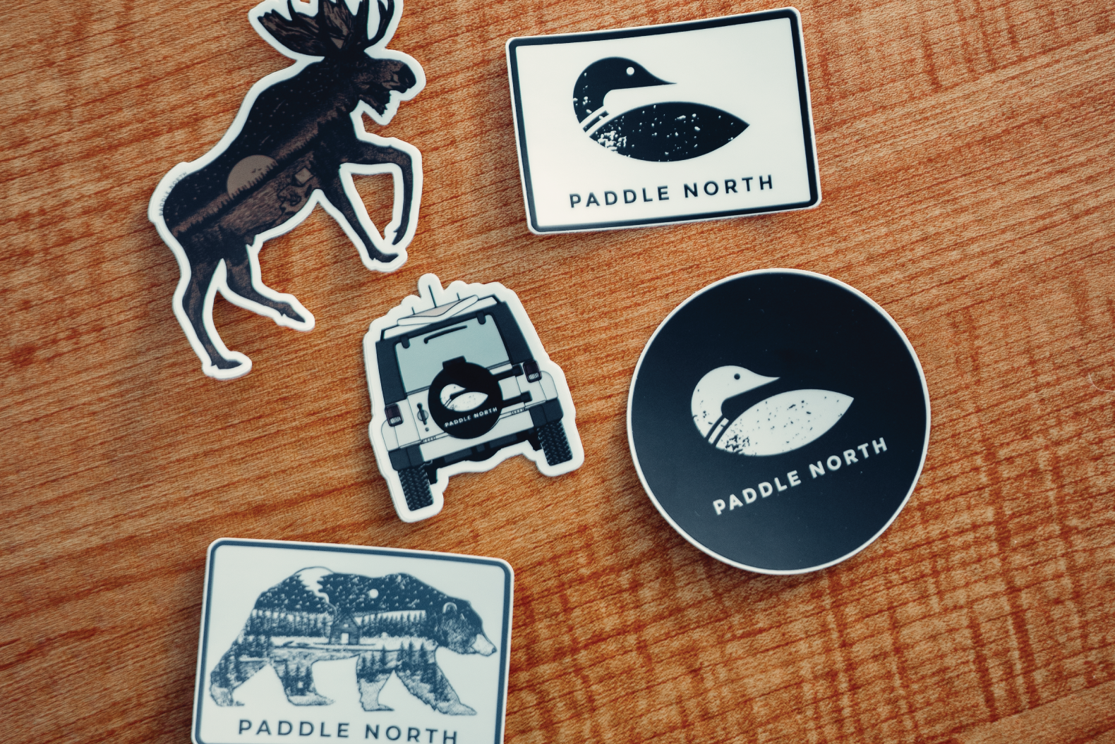 Networking and Mentorship