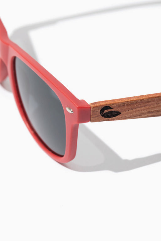 Forest Lake Sunnies