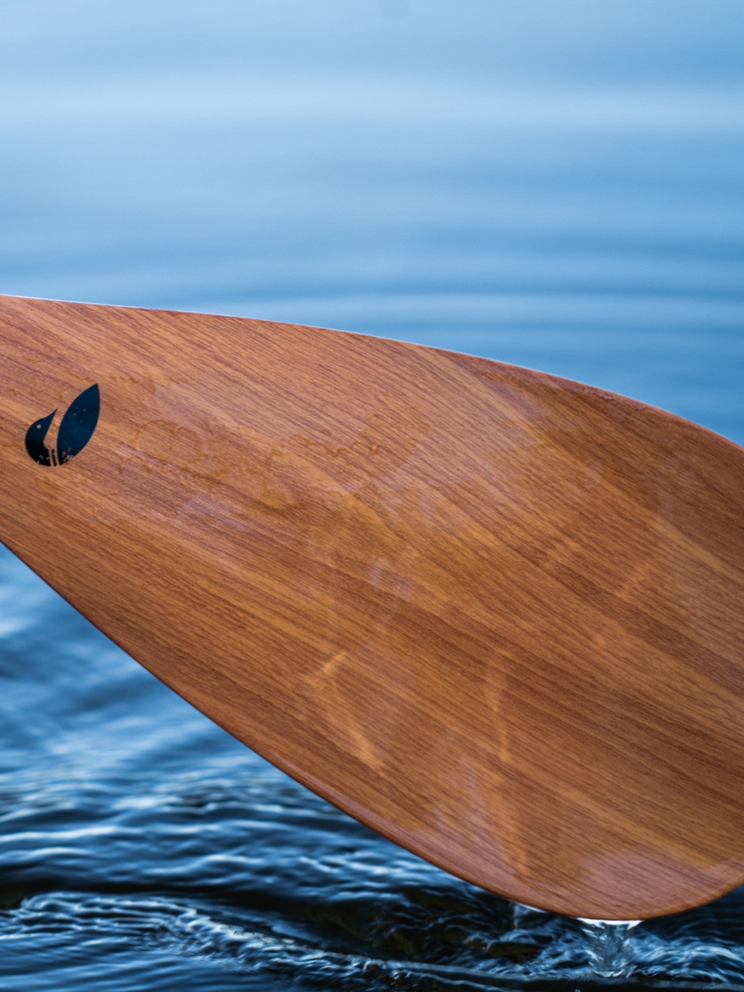 Bamboo paddle in the water.