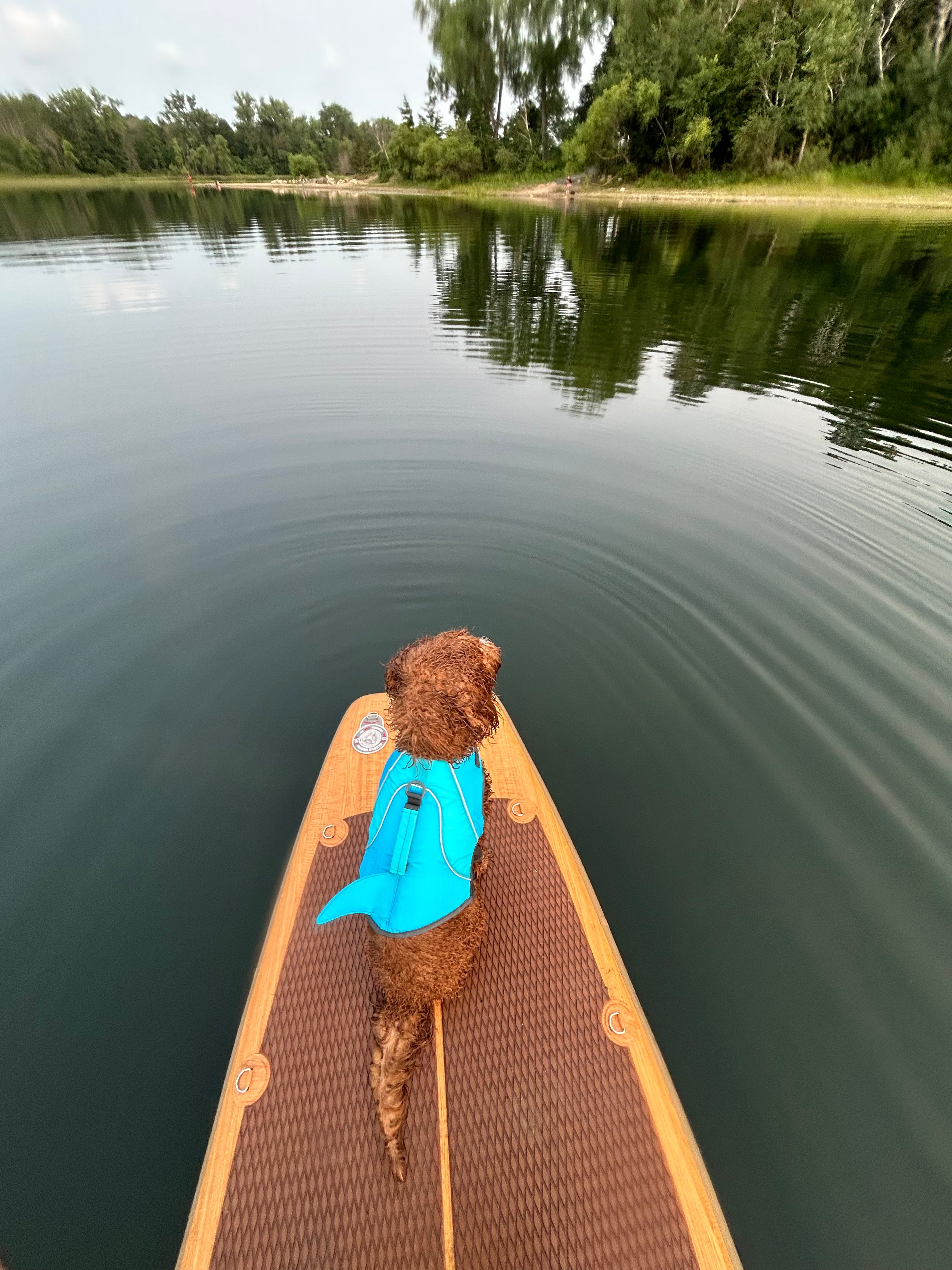 Challenge: Dog Paddling