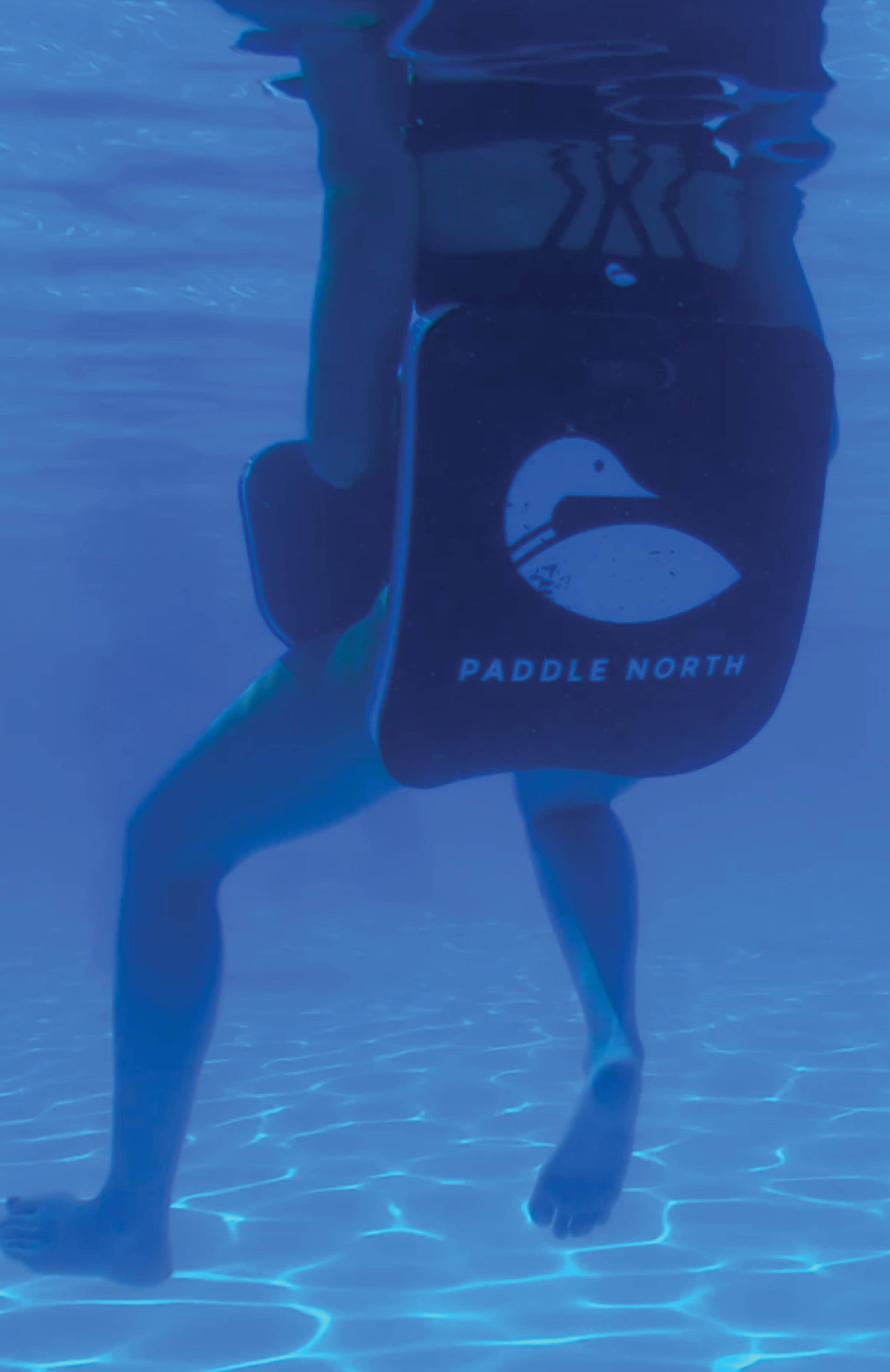 Water accessories: The lake float saddle in a pool showcasing the back of the saddle. 