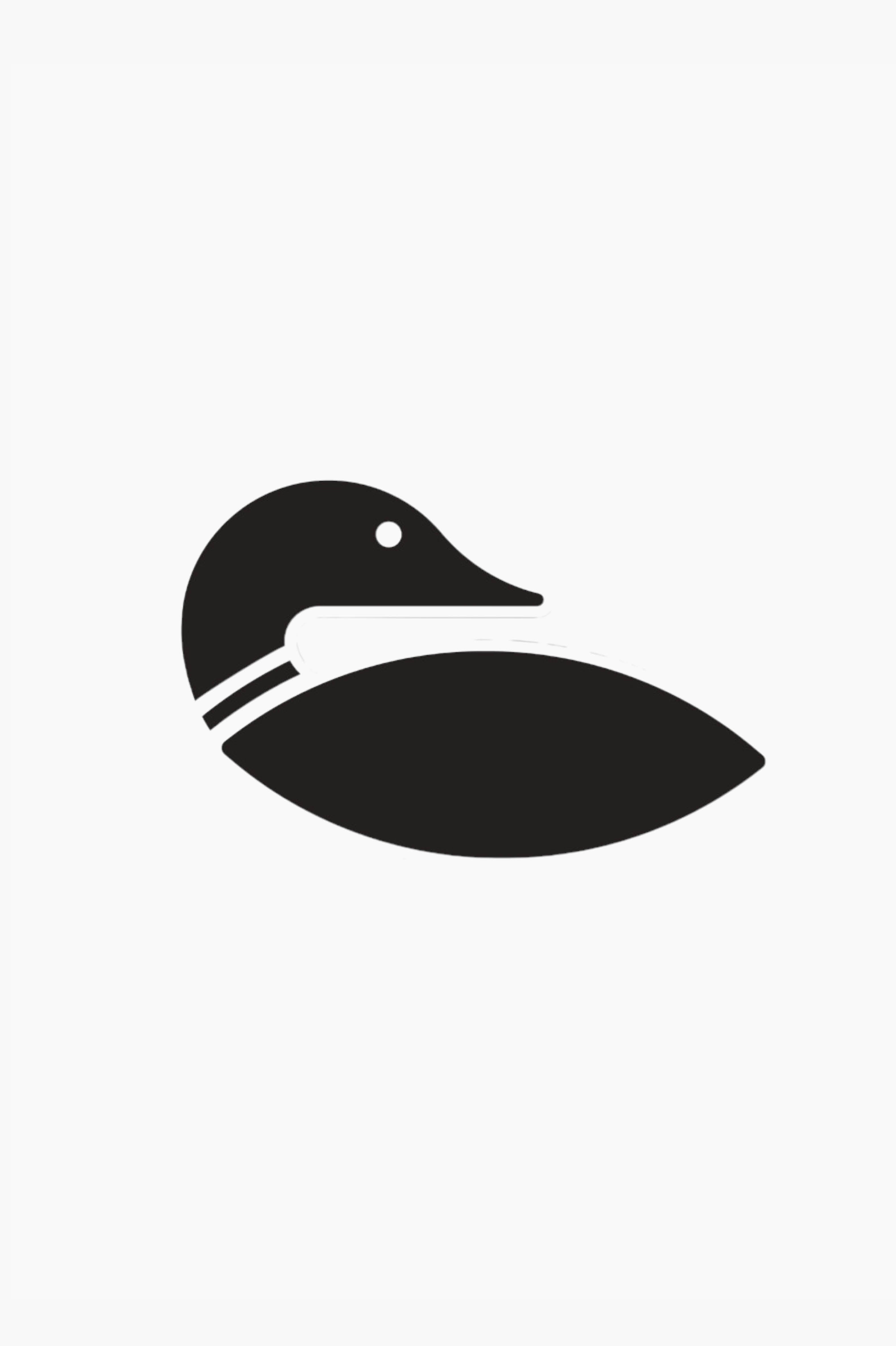 Loon Logo 2026 Sticker