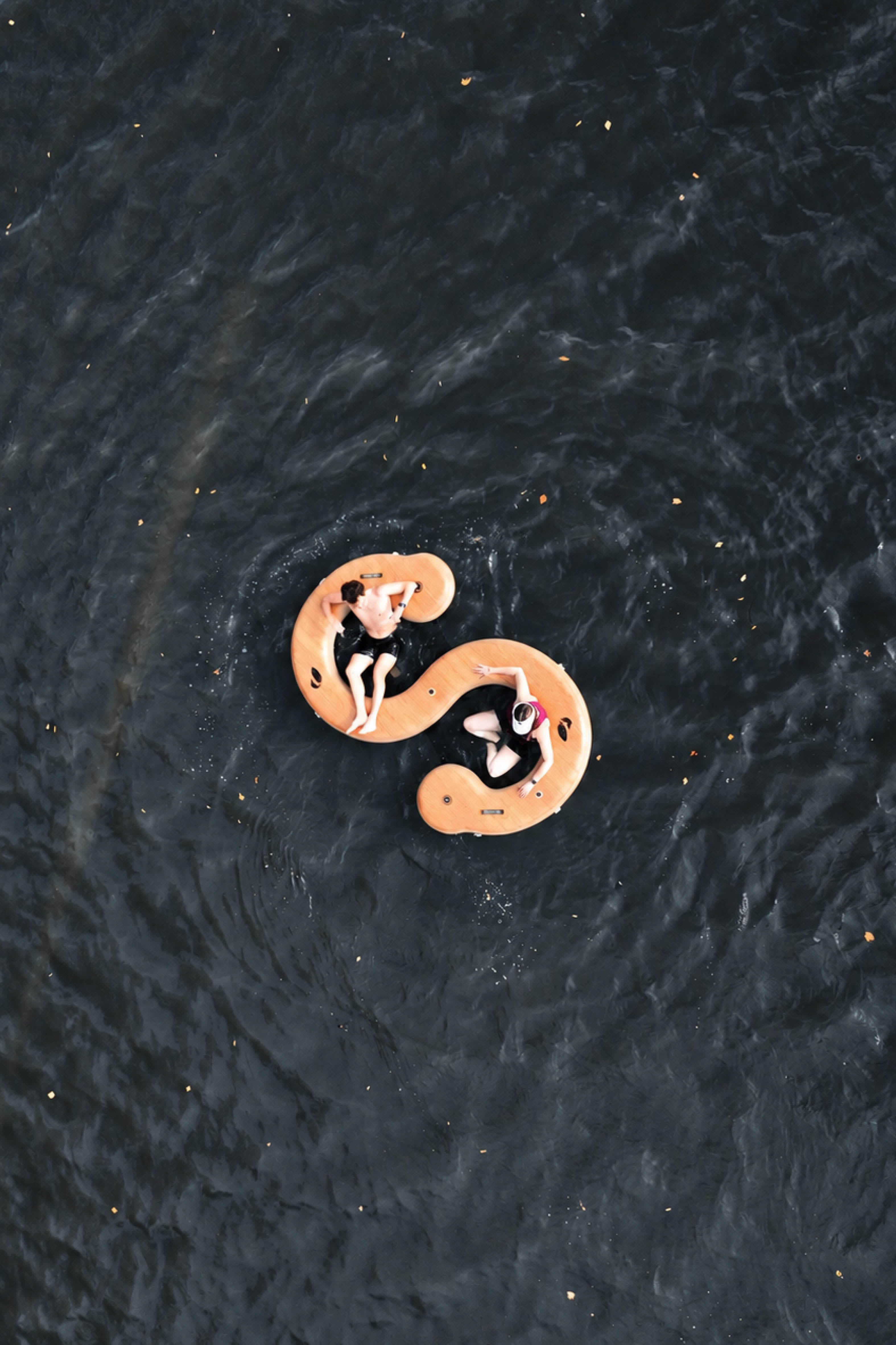 Lake Snake