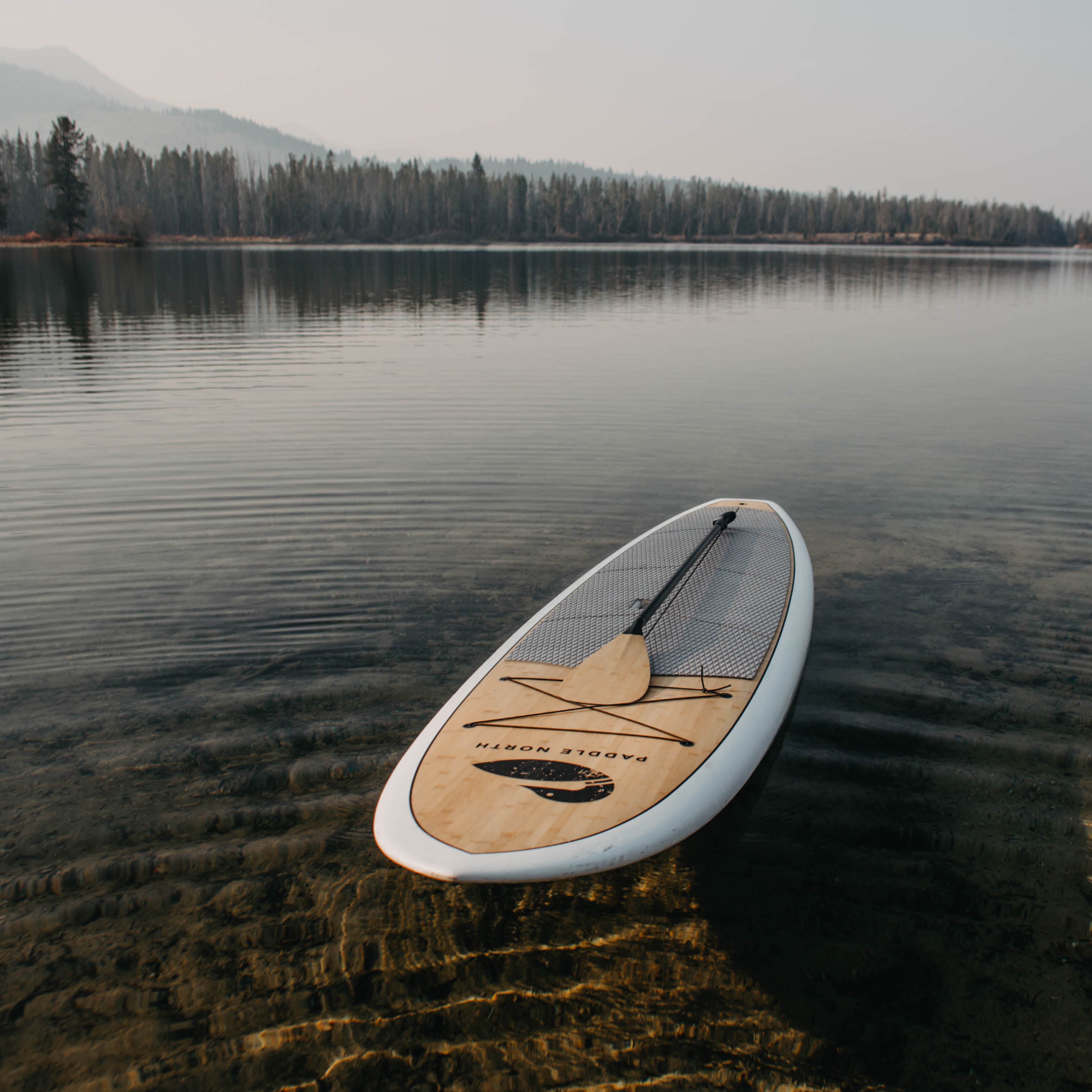 Hard paddle board on a calm lake with a forested shoreline