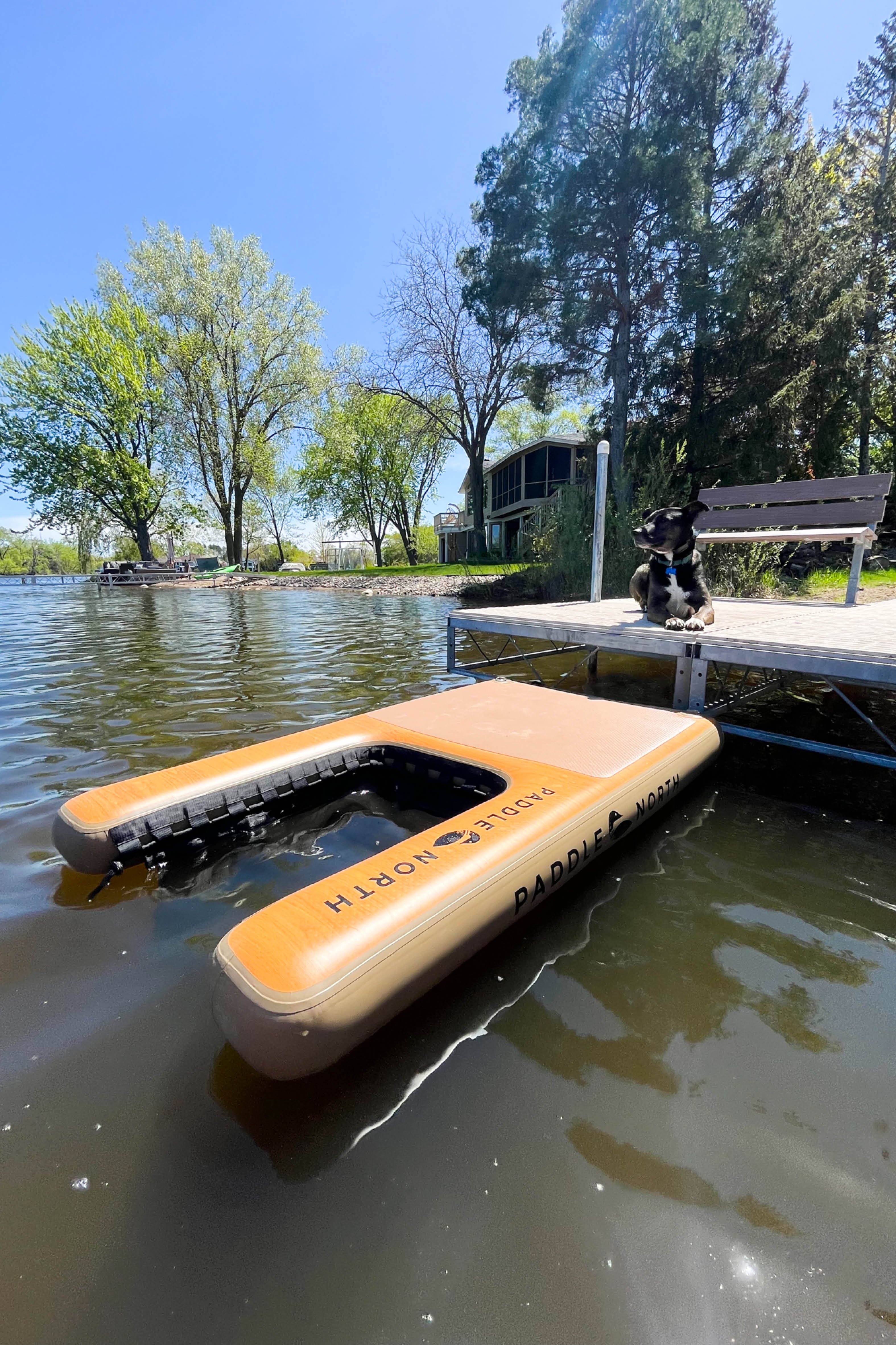 Dog ramp for dock attached to a dock
