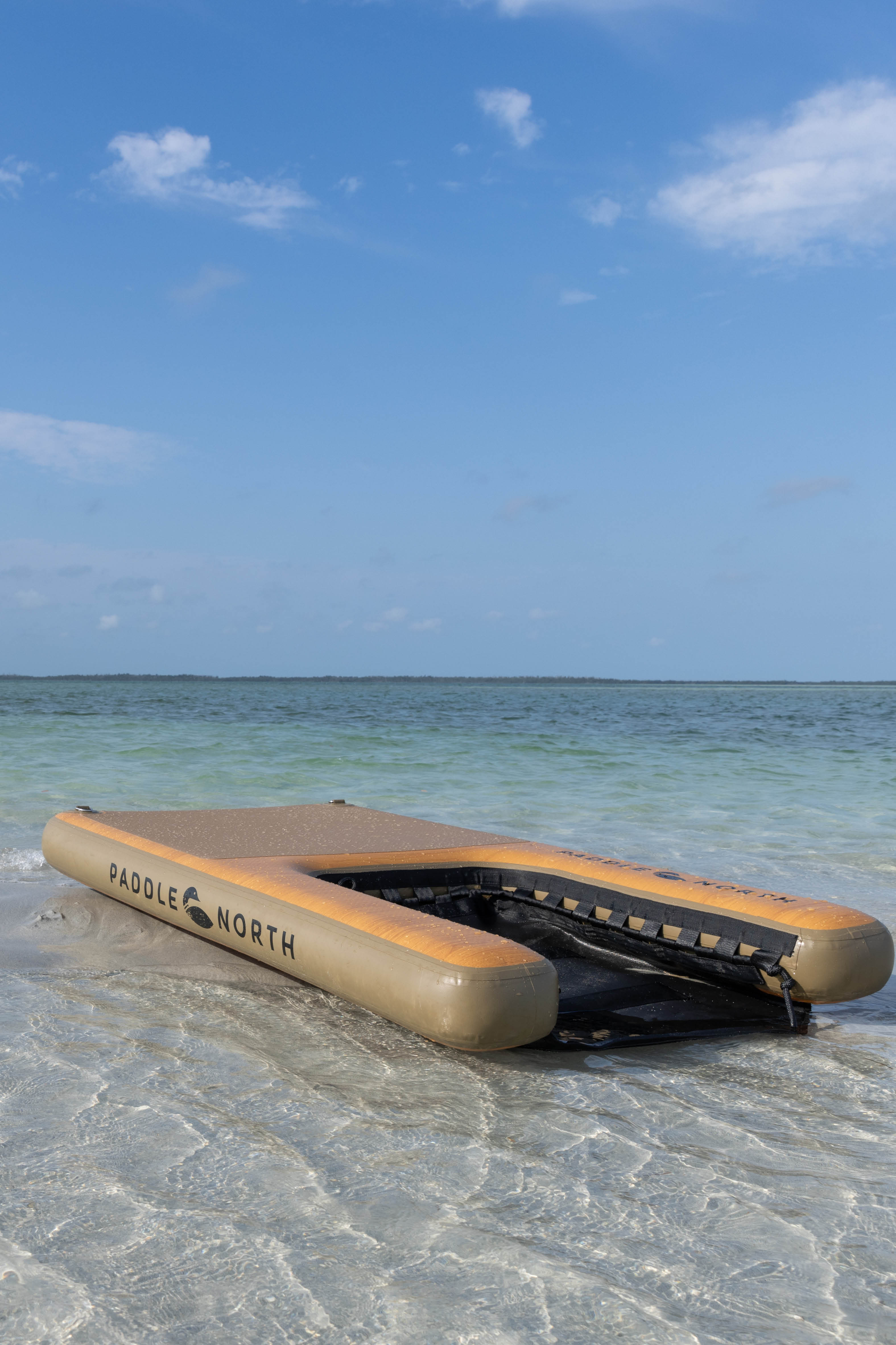 Pet ramp for paddle board in water