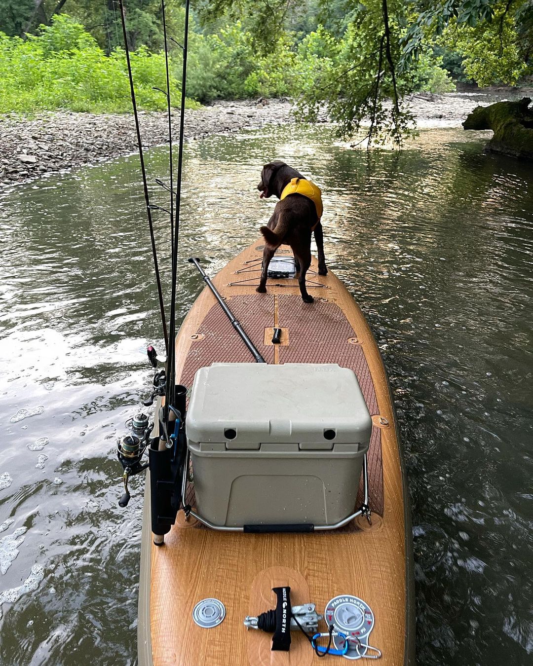 Challenge: Fishing