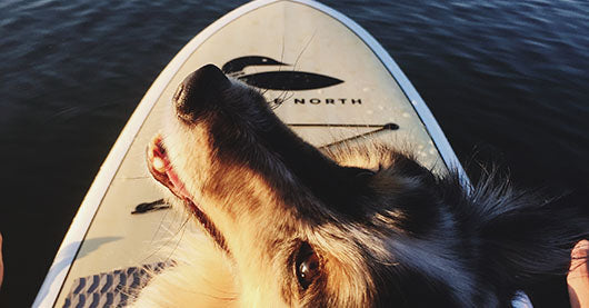 SUP on Long Lake, MN