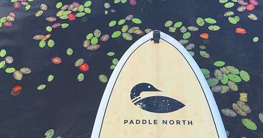 Lake Nebagamon from a Paddle Board