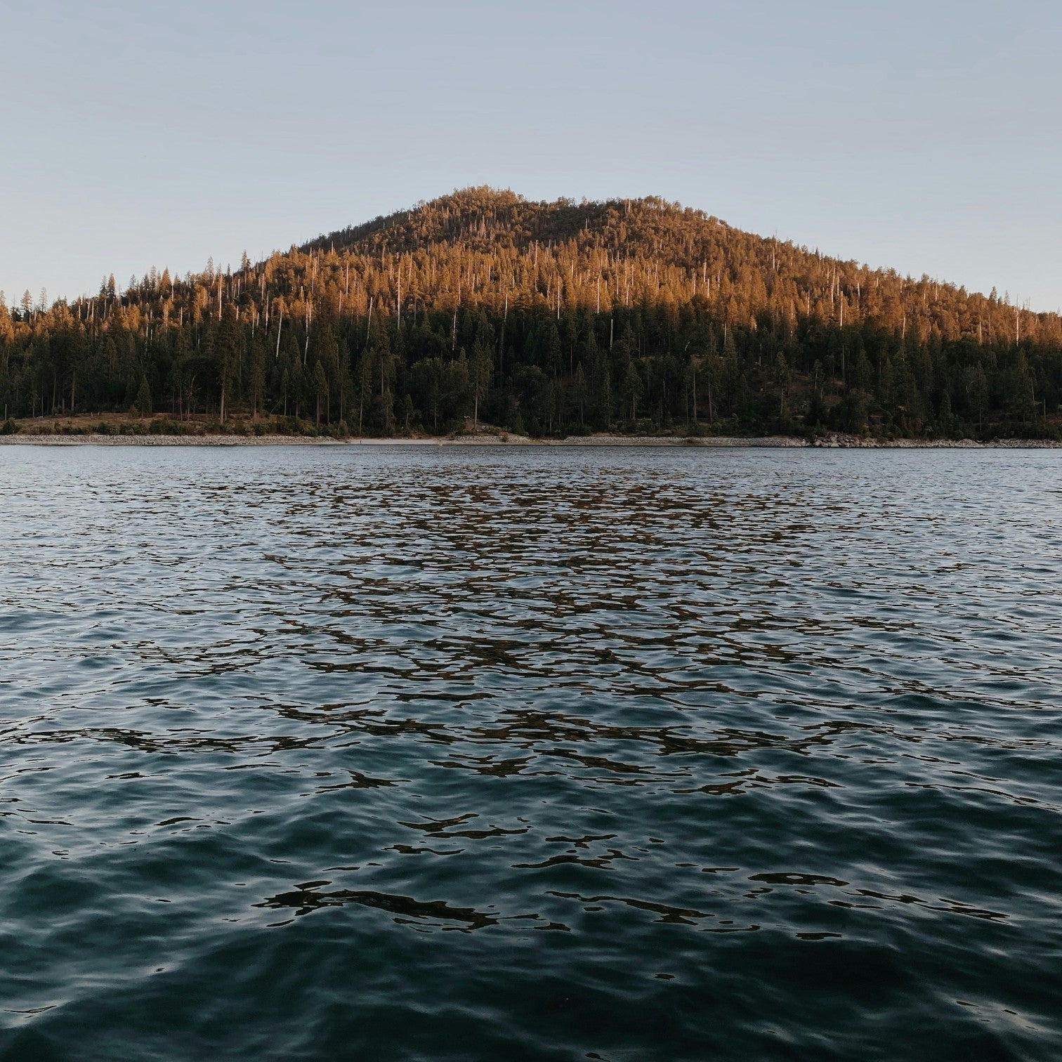 Best Places to Paddle Board in Boise