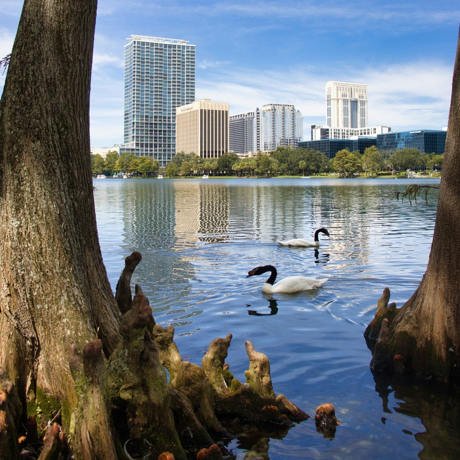 Best Places to Paddle Board in Orlando