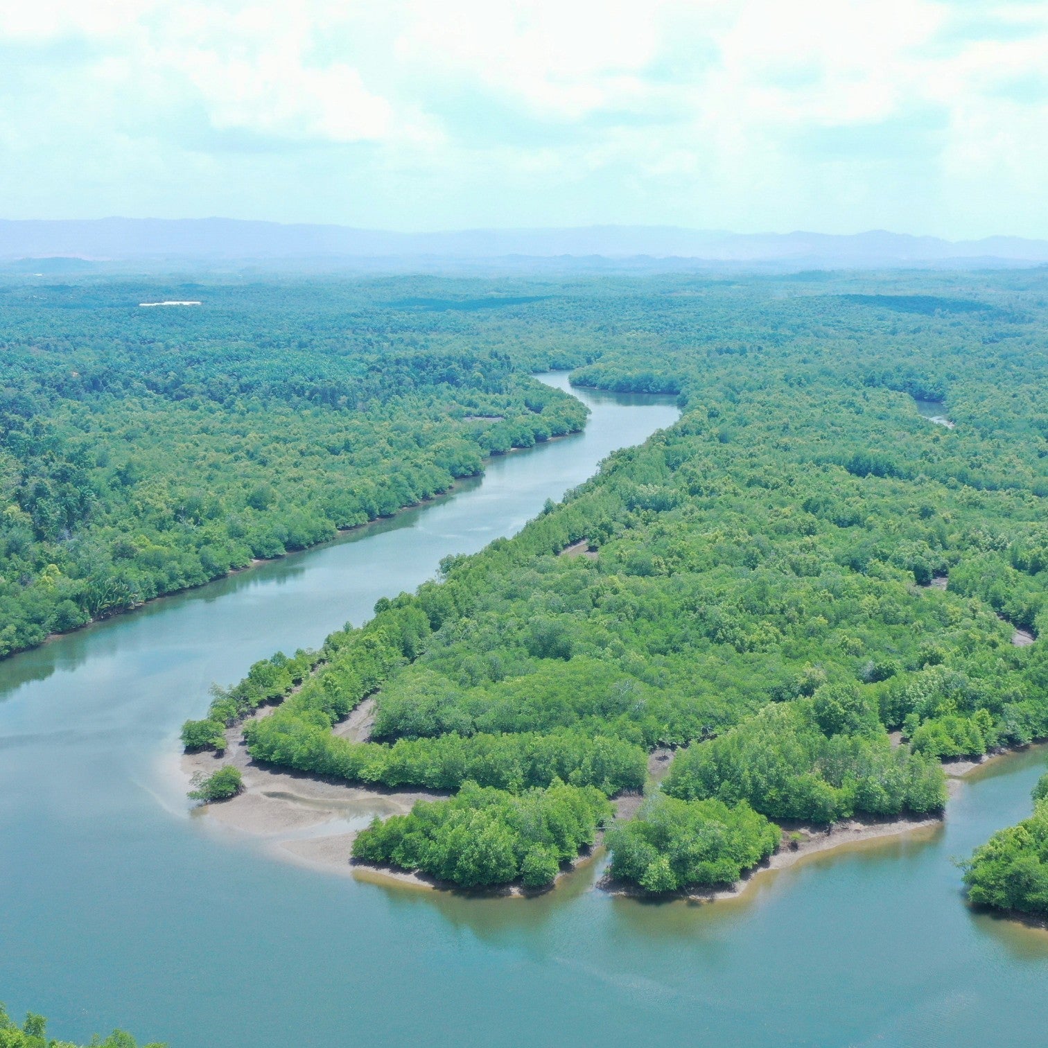 Best Places to Paddle Board in Miami