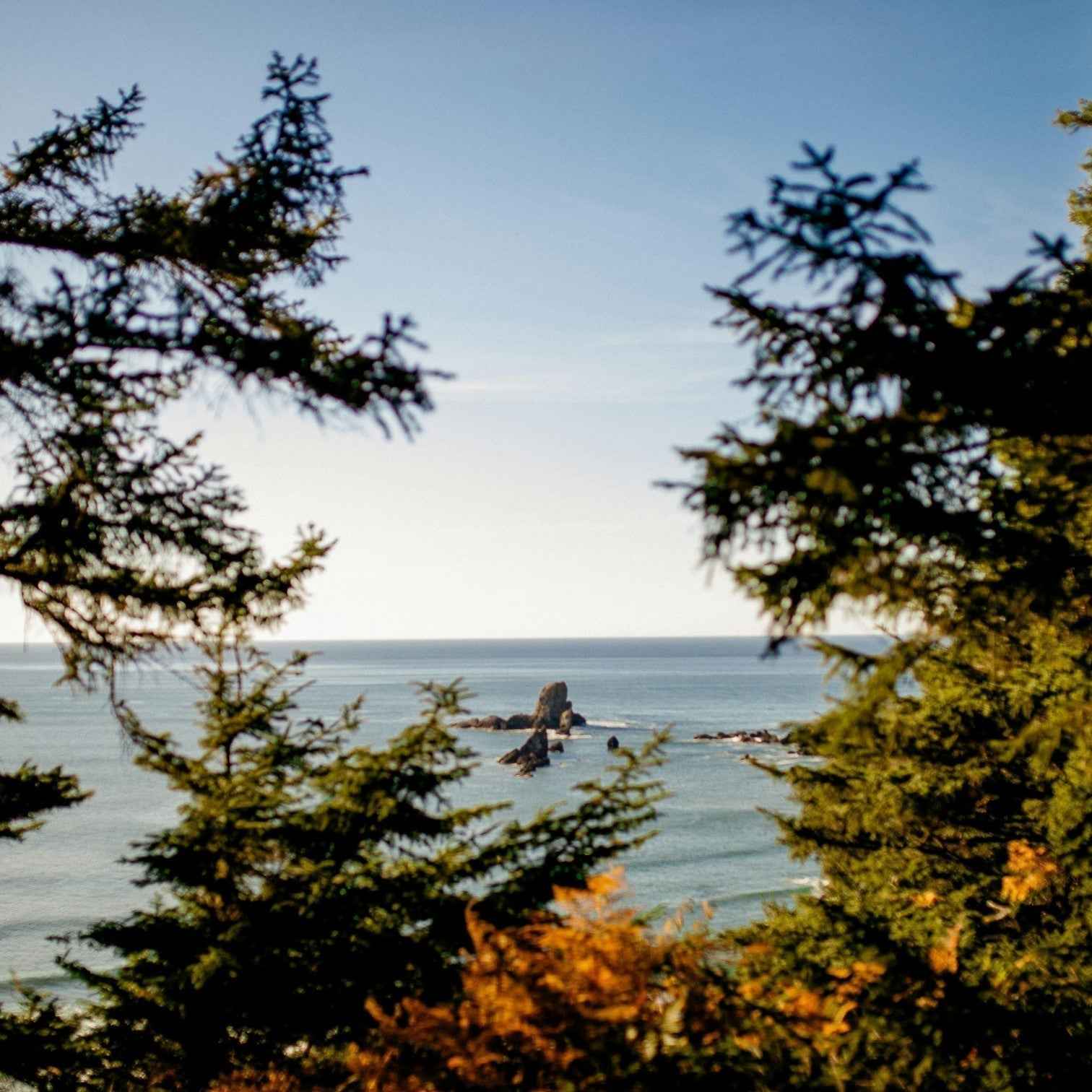 Best Places to Paddle Board in Portland