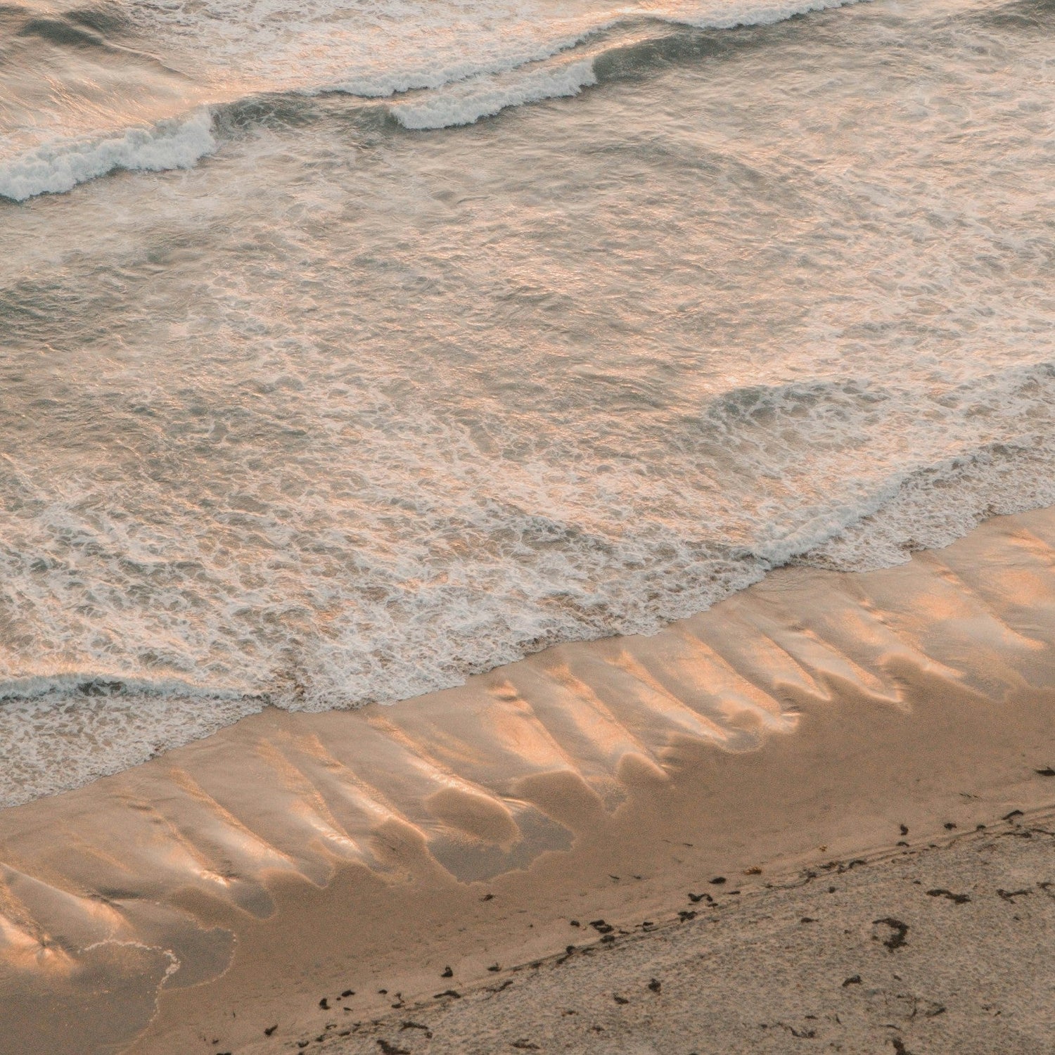 Best Places to Paddle Board in San Diego