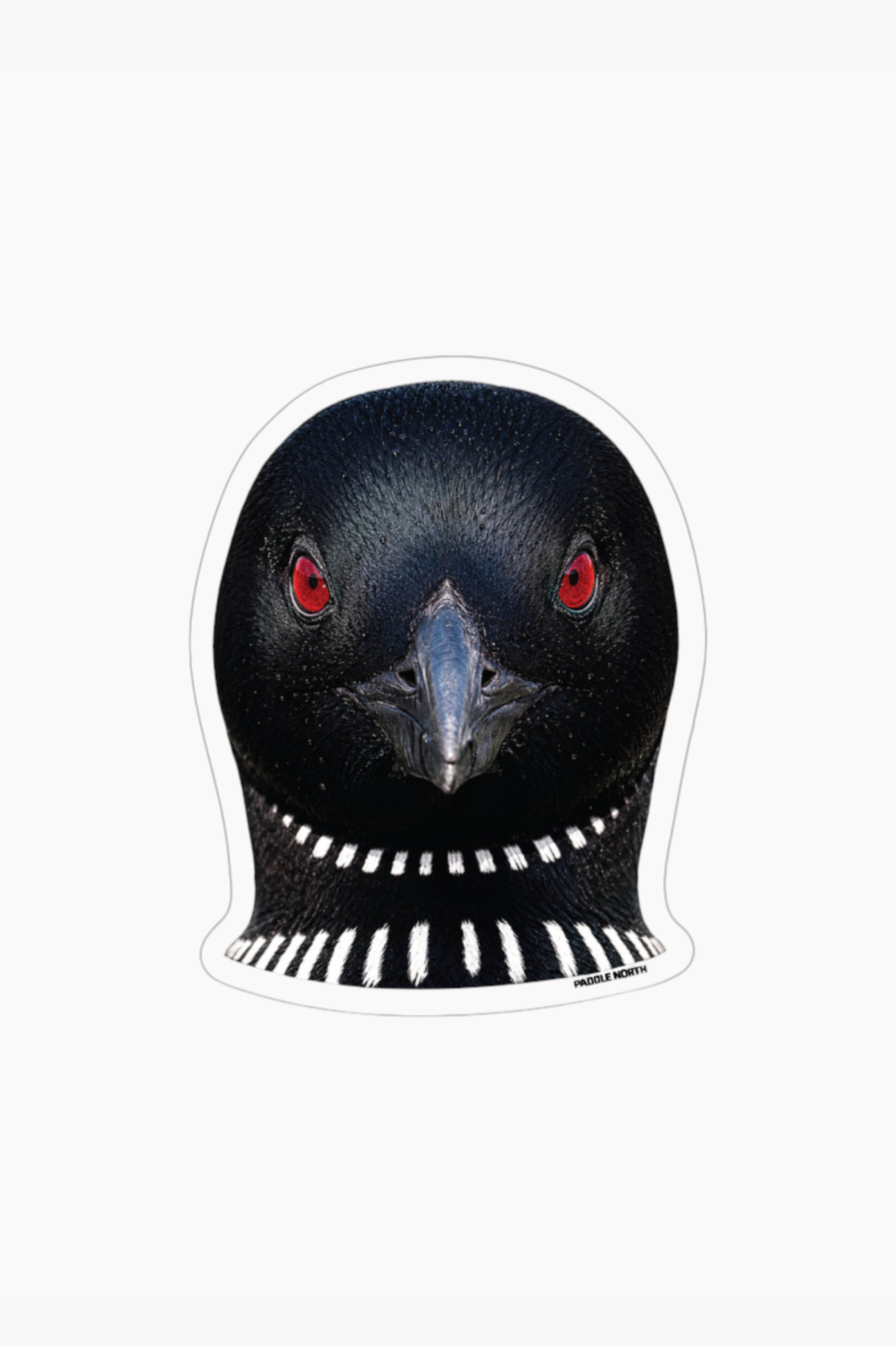 Mad Loon Sticker