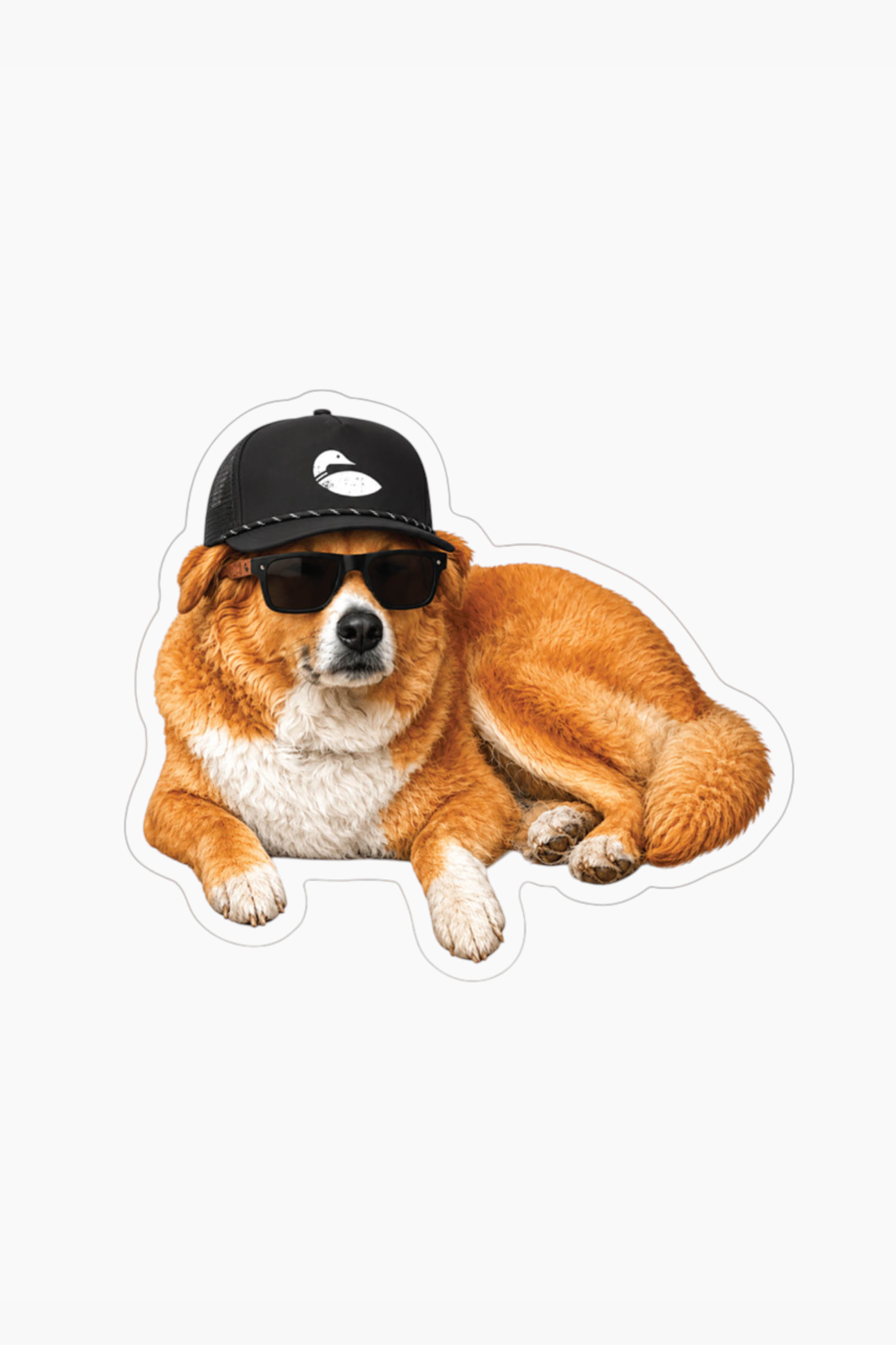 Cool Dog Sticker