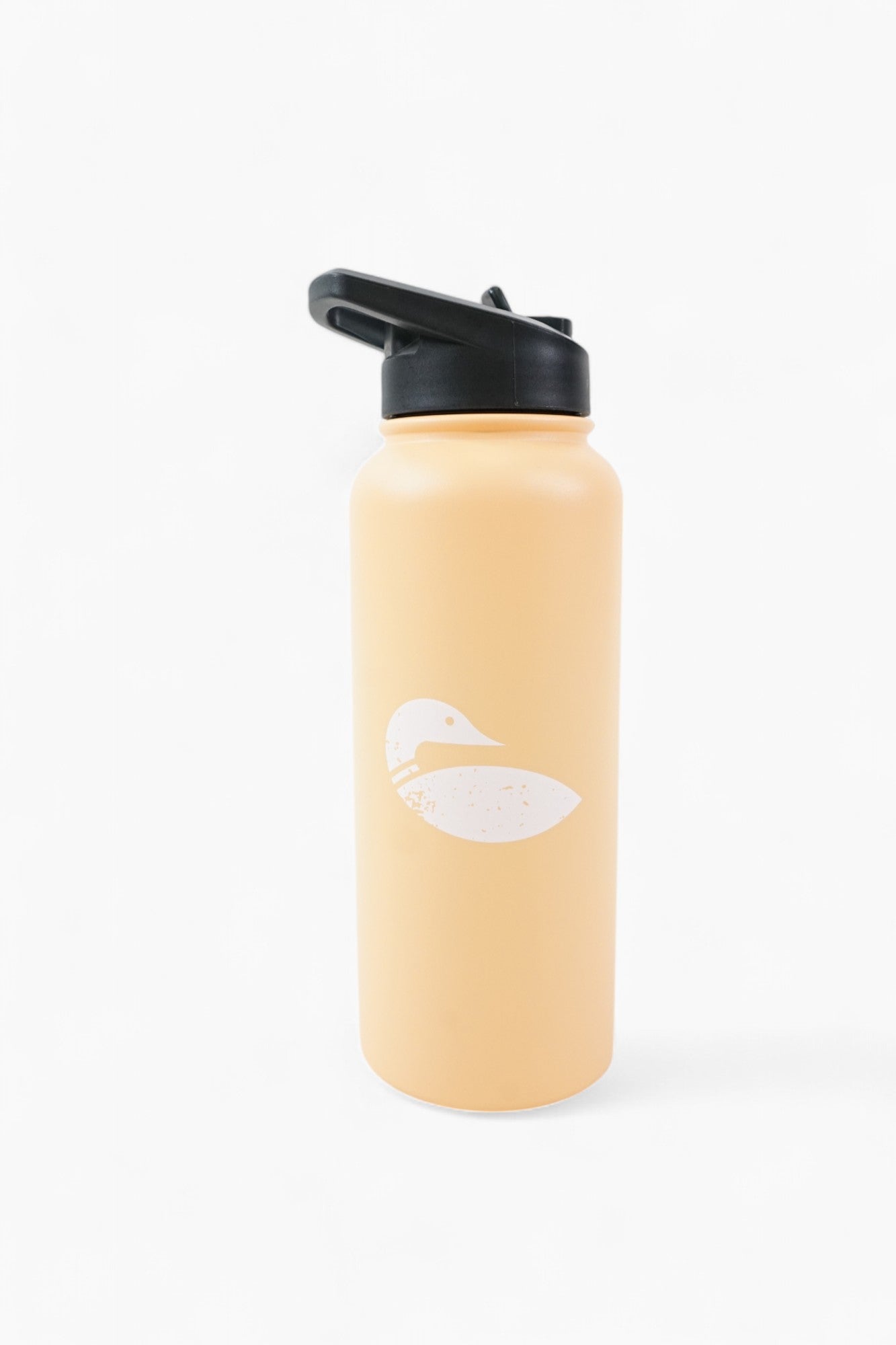 Insulated Water Bottle