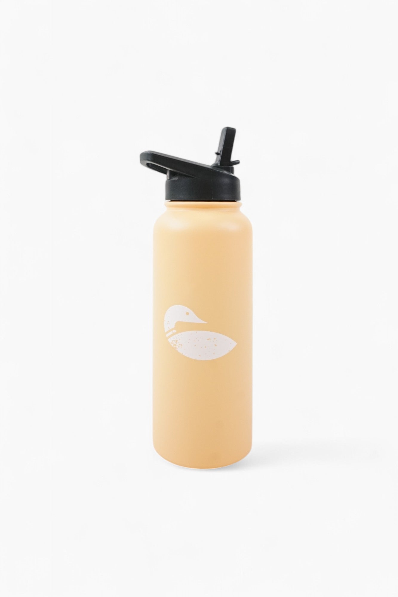 Insulated Water Bottle