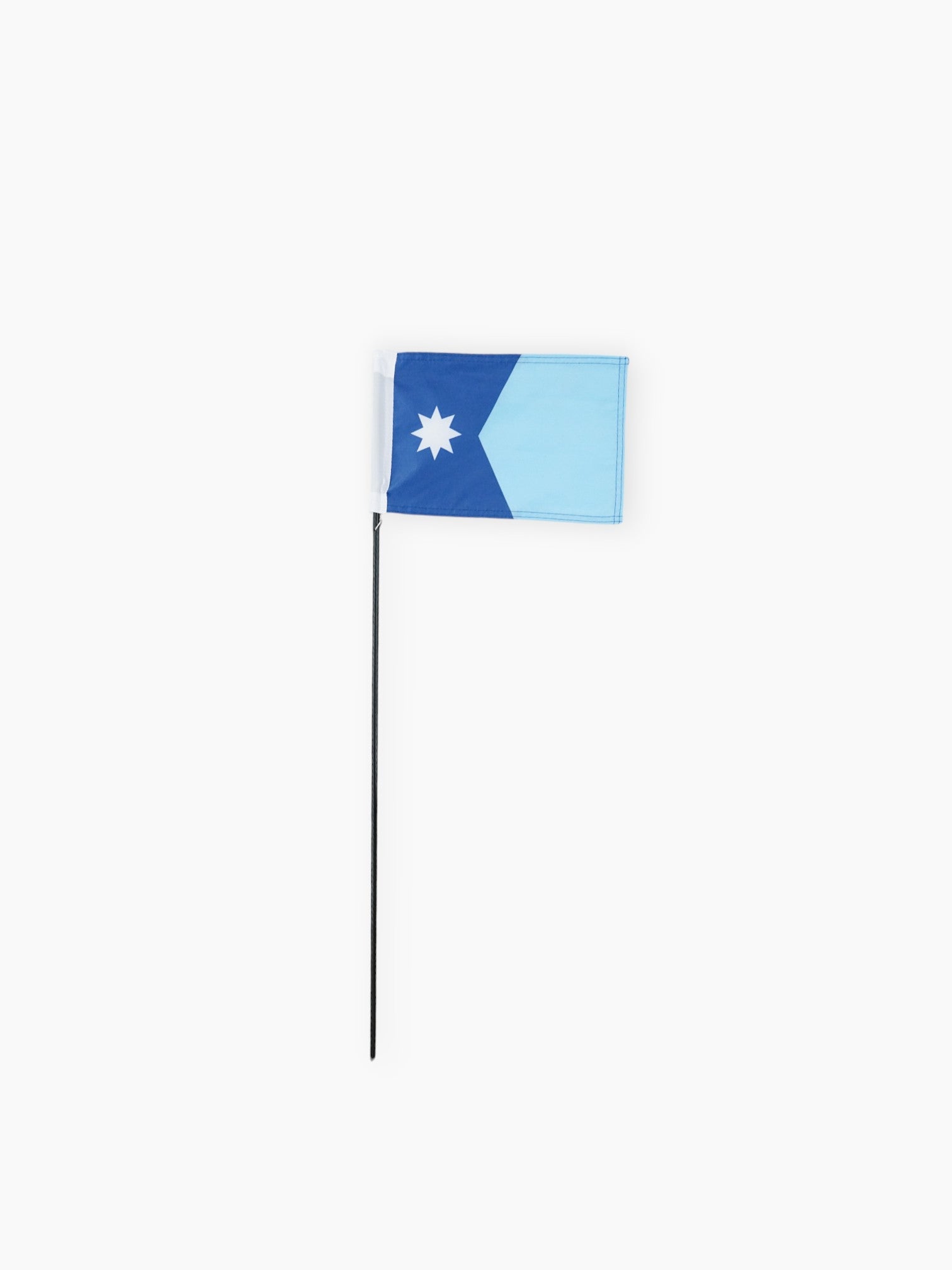 Minnesota Flag