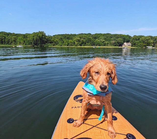 Challenge: Doggy Paddle