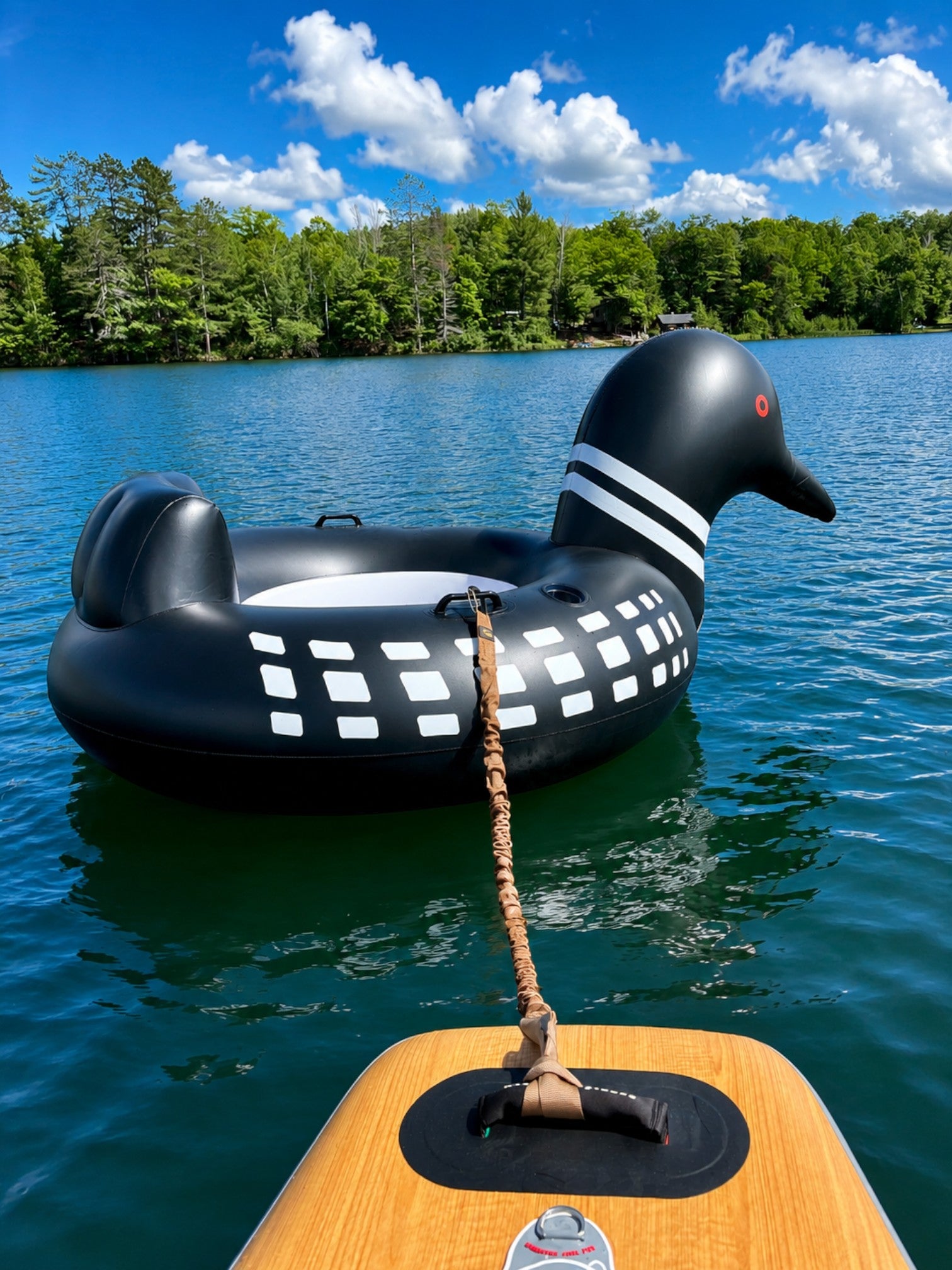 Loon Tube