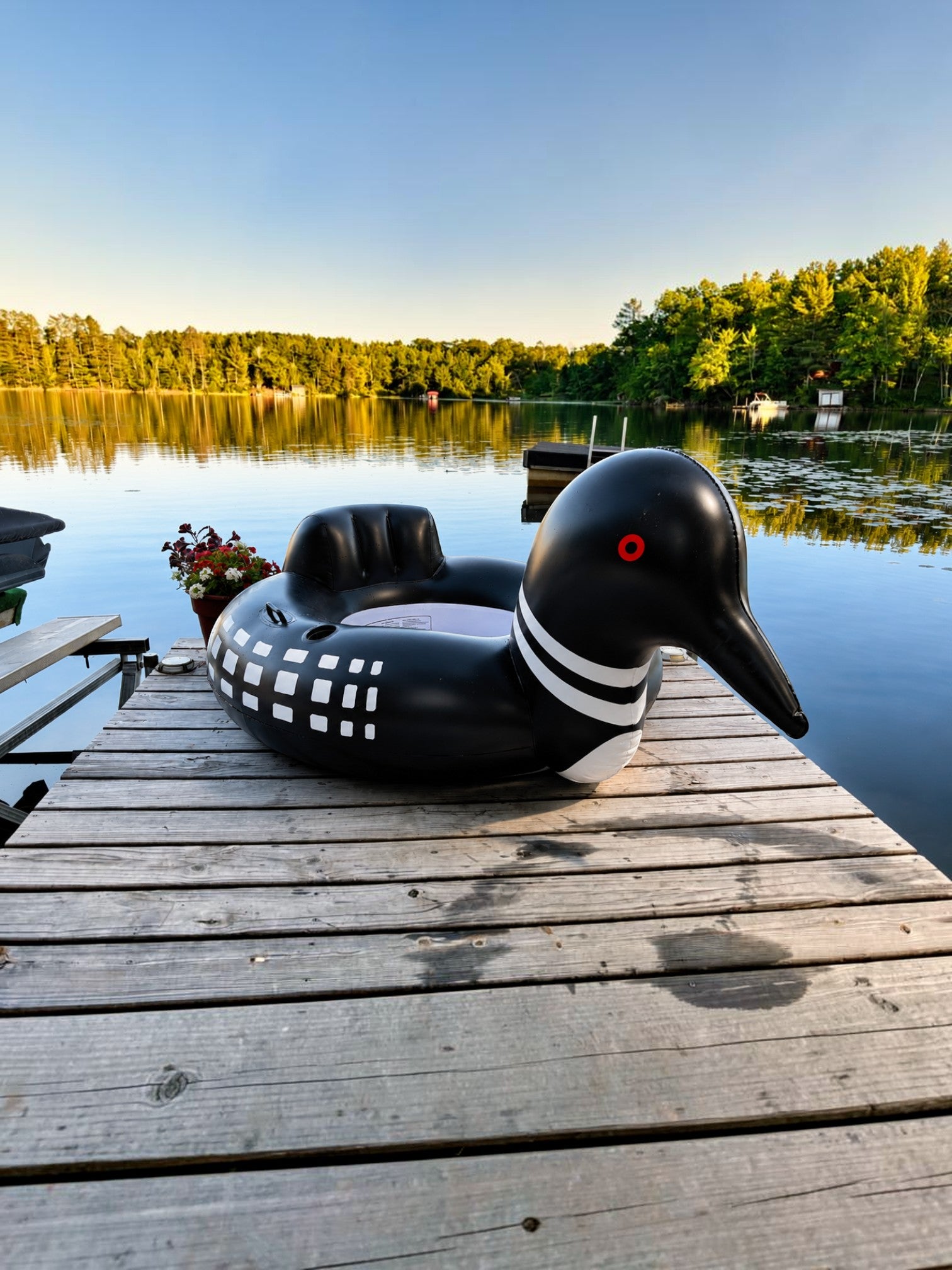 Loon Tube