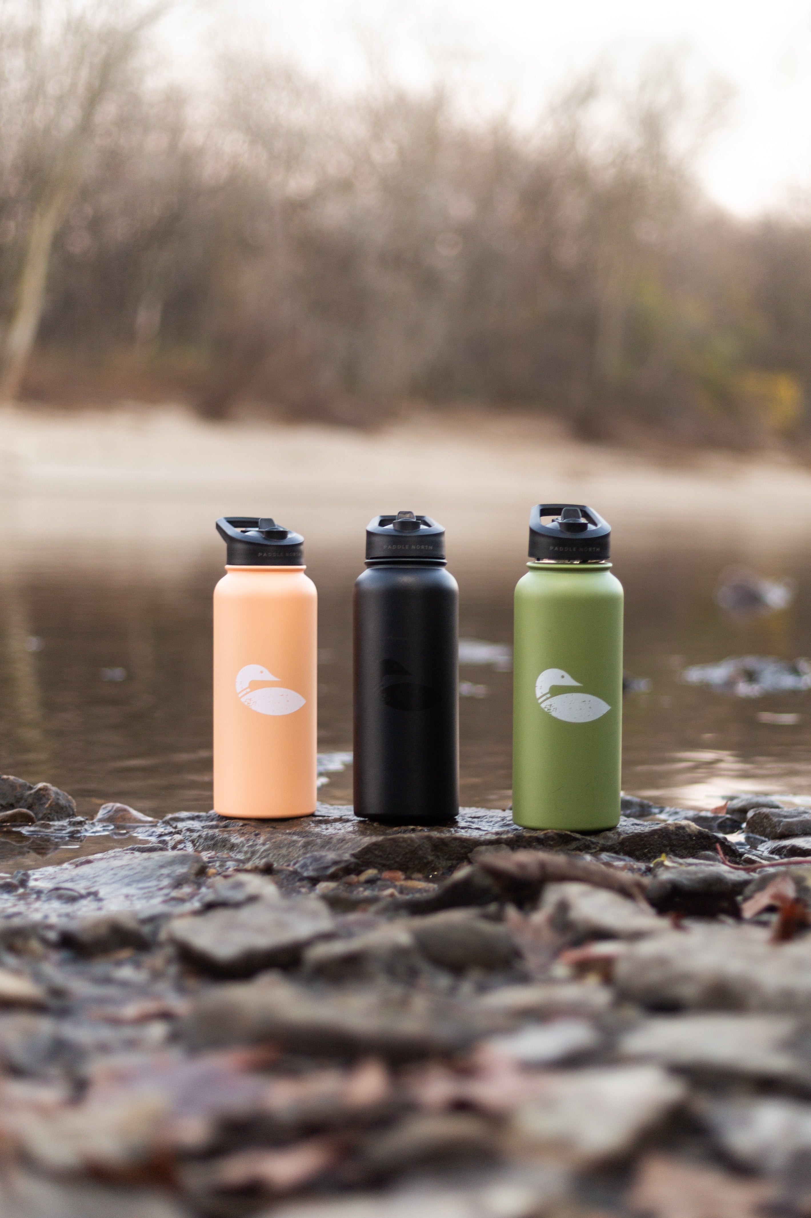 Insulated Water Bottle