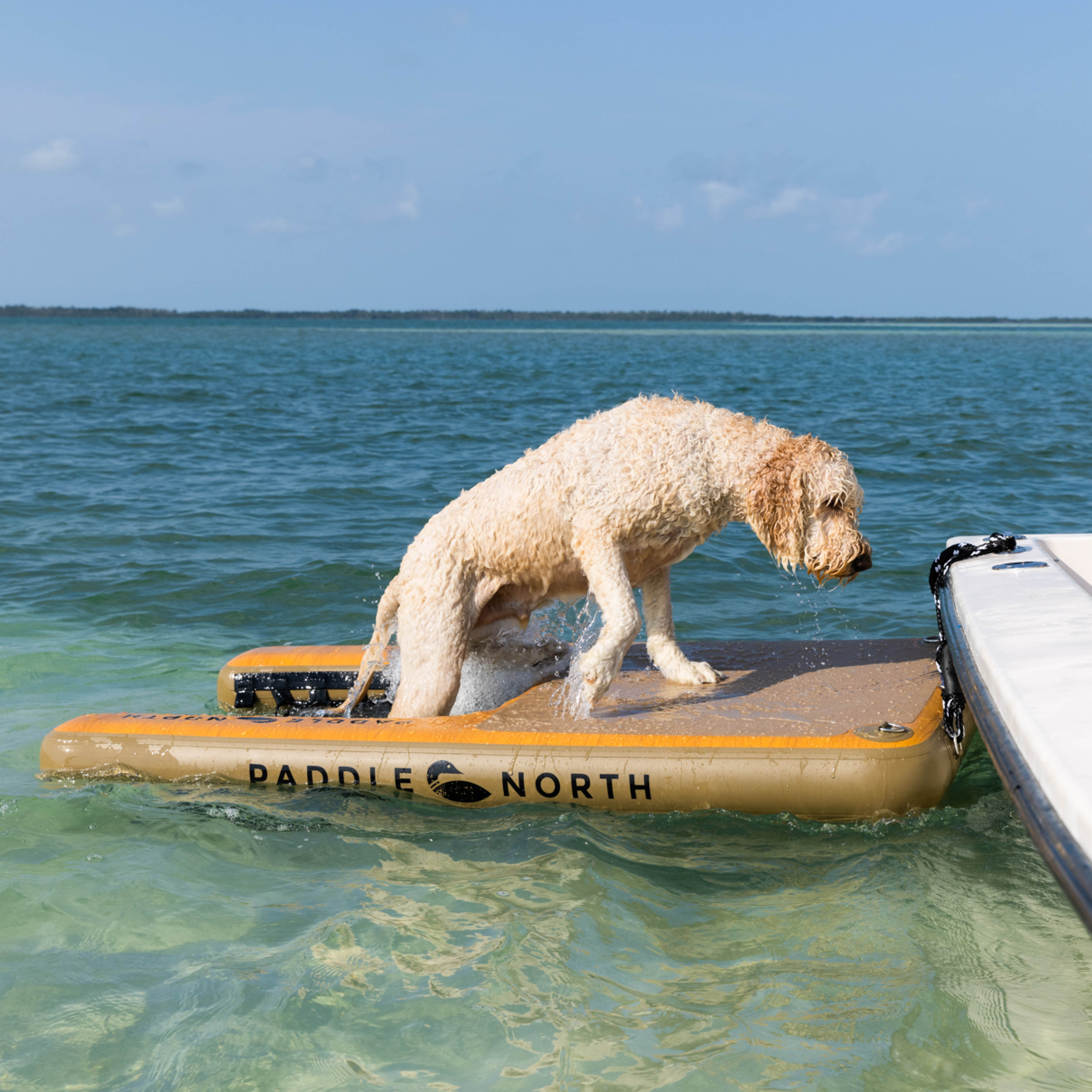 Inflatable Dog Ramp for Boat